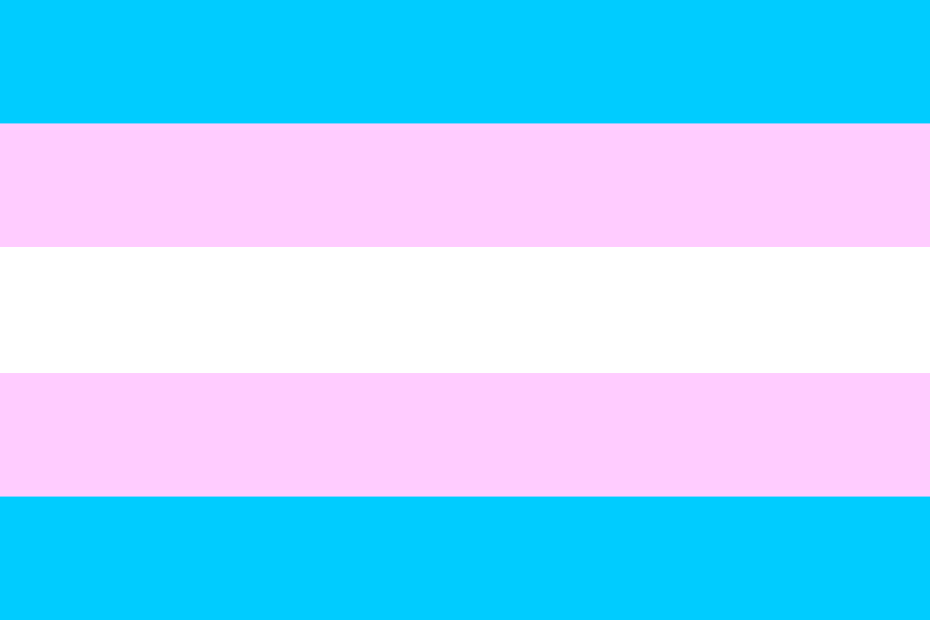 Emerson College in Boston supports the transgender community!